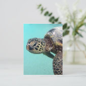Carte Postale Tortue de mer d'Hawaii (Debout devant)