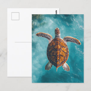 Carte Postale Tortue de mer en Océan Turquoise