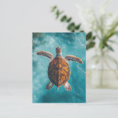 Carte Postale Tortue de mer en Océan Turquoise (Debout devant)