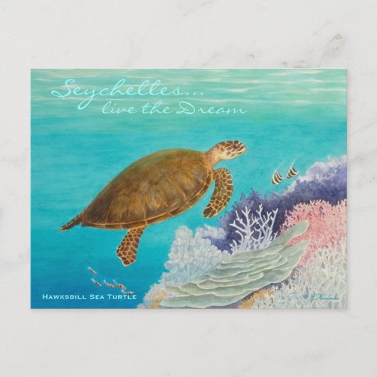Carte Postale Tortue de mer Hawksbill (Devant)