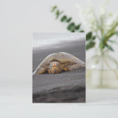 Carte Postale Tortue de mer - Plage de sable noir - Hawaii (Debout devant)