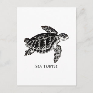 Carte Postale Tortue de mer (Ridley de Kemp)