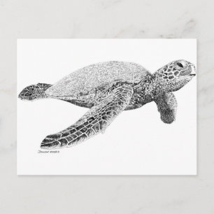 Carte Postale Tortue de mer verte