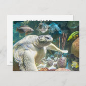 Carte Postale Tortue de mer verte (Devant / Derrière)