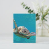 Carte Postale Tortue de mer verte d'Hawaii - Honu (Debout devant)