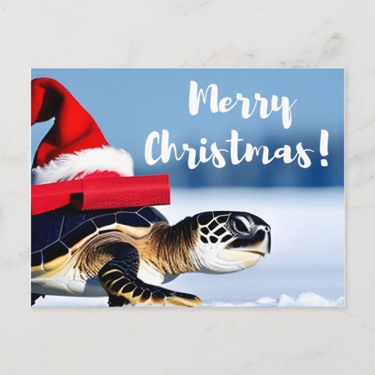 Carte Postale Tortue de Noël (Devant)