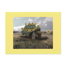 Carte postale Tortue de tournesol en fleurs