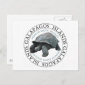 Carte Postale Tortue des îles Galapagos (Devant / Derrière)