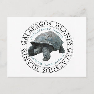 Carte Postale Tortue des îles Galapagos