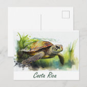 Carte Postale Tortue du Costa Rica (Devant / Derrière)