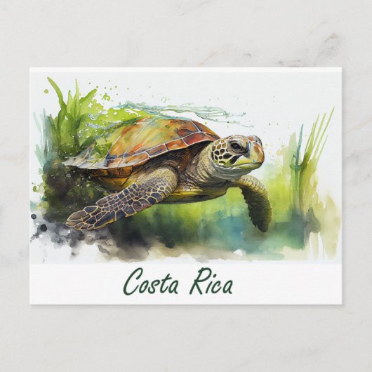 Carte Postale Tortue du Costa Rica (Devant)
