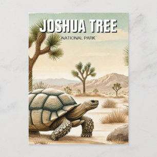 Carte Postale Tortue du désert dans le parc national de Joshua T