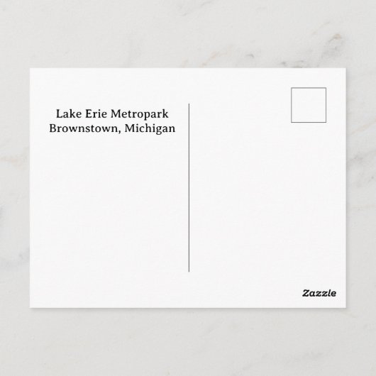 Carte Postale Tortue du Metropark Lake Erie Journal vertical ave (Dos)