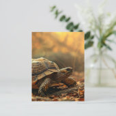 Carte Postale Tortue en pleine nature (Debout devant)