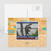 Carte Postale Tortue en voie de disparition (Devant / Derrière)