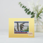 Carte Postale Tortue en voie de disparition (Debout devant)