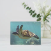 Carte Postale Tortue Hawaii (Debout devant)