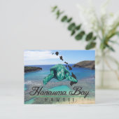 Carte Postale Tortue Hawaii Hanauma Bay - Honu (Debout devant)