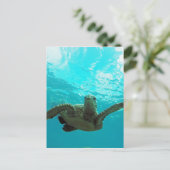 Carte Postale Tortue Hawaii Honu (Debout devant)