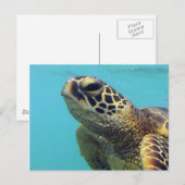 Carte Postale Tortue Hawaii Honu (Devant / Derrière)