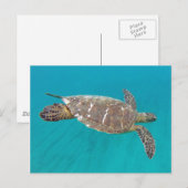 Carte Postale Tortue Hawaii Honu (Devant / Derrière)