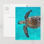 Carte Postale Tortue Hawaii Honu (Devant / Derrière)