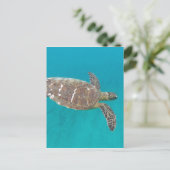 Carte Postale Tortue Honu d'Hawaï (Debout devant)