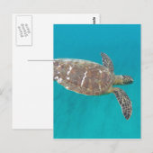Carte Postale Tortue Honu d'Hawaï (Devant / Derrière)
