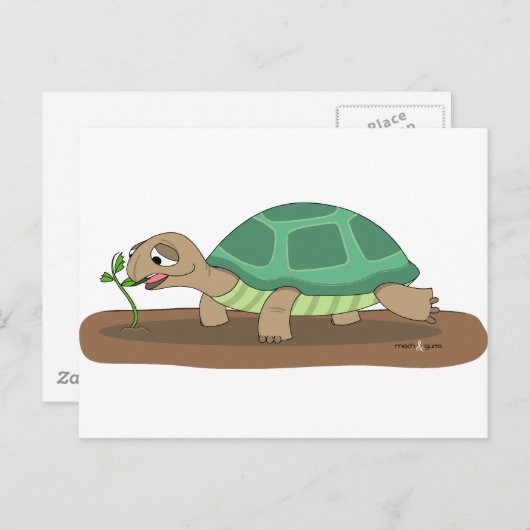 Carte Postale Tortue mangeant (Devant / Derrière)