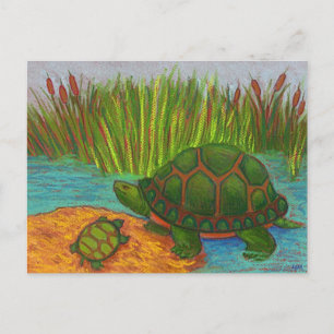 Carte Postale Tortue Pals