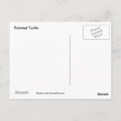 Carte postale Tortue peinte (Dos)