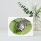 Carte Postale Tortue peinte bébé sur Lilypad objets (Debout devant)