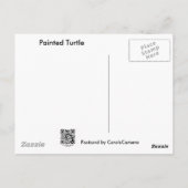 Carte Postale Tortue peinte bébé sur Lilypad objets (Dos)