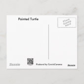 Carte Postale Tortue peinte bébé sur Lilypad objets (Dos)
