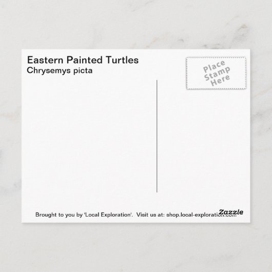 Carte Postale Tortue peinte de l'Est (Dos)
