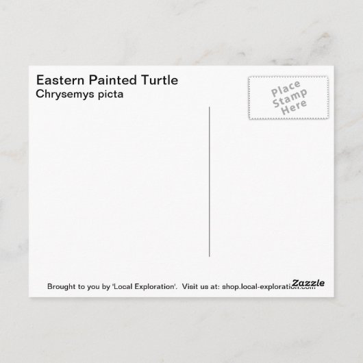 Carte Postale Tortue peinte de l'Est (Dos)