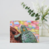 Carte Postale Tortue rouge (Debout devant)
