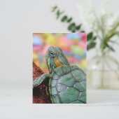 Carte Postale Tortue rouge (Debout devant)