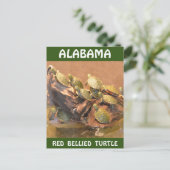 Carte Postale Tortue rouge de l'Alabama 2 (Alabama) (Debout devant)