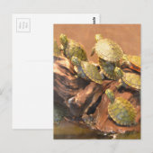 Carte Postale Tortue rouge de l'Alabama 2 (Alabama) (Devant / Derrière)