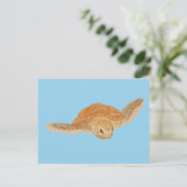 Carte Postale Tortue sous l'eau - transparente. (Debout devant)