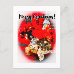 Carte Postale Tortue sulcata bébé Joyeuse Grinchmas avec arc rou