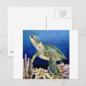 Carte Postale Tortue verte (Devant / Derrière)