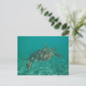 Carte Postale tortue verte (Debout devant)