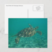 Carte Postale tortue verte (Devant / Derrière)