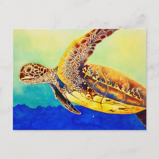 Carte Postale tortue verte (Devant)