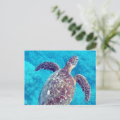 Carte Postale Tortue verte de Hawaii (Debout devant)