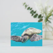 Carte Postale Tortue verte d'Hawaii (Debout devant)