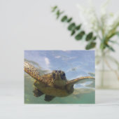 Carte Postale Tortue verte d'Hawaii (Debout devant)