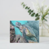 Carte Postale Tortue verte d'Hawaii (Debout devant)